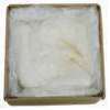 Brill Smooth & Light Buttercreme Icing Vanilla 23lbs 10216112